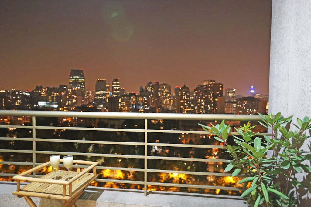 Apartment balcony (19th floor), view to Forestal Park, Mapocho River, and Bellas Artes Museum.