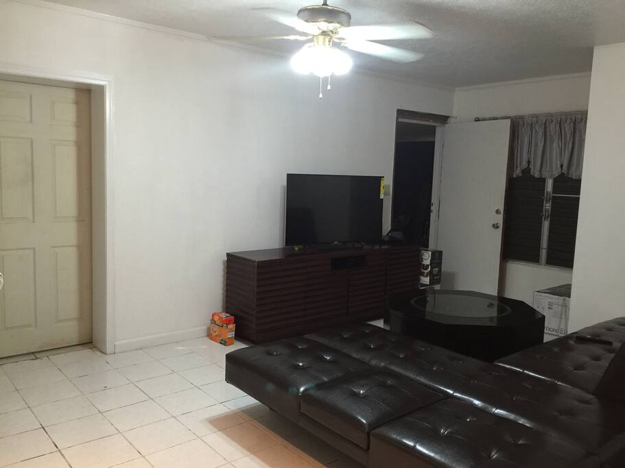 Living room and Entrance