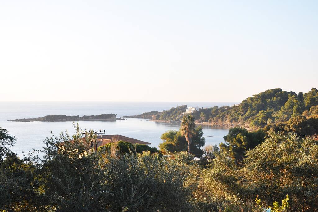 View from the terrace