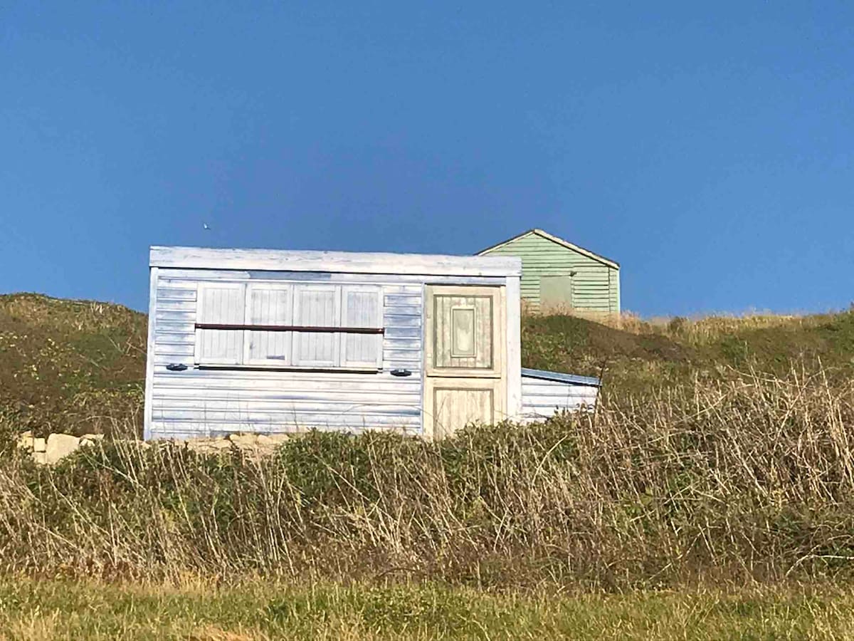 A small blue cabin with a white door and large windows overlooks the grassy hillside. In the background, a light green structure is nestled against the clear blue sky. Vegetation lines the foreground, complementing the natural setting.