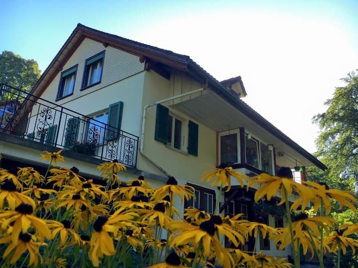 Cozy GuestHouse near the lake of Thun Apartments for Rent in