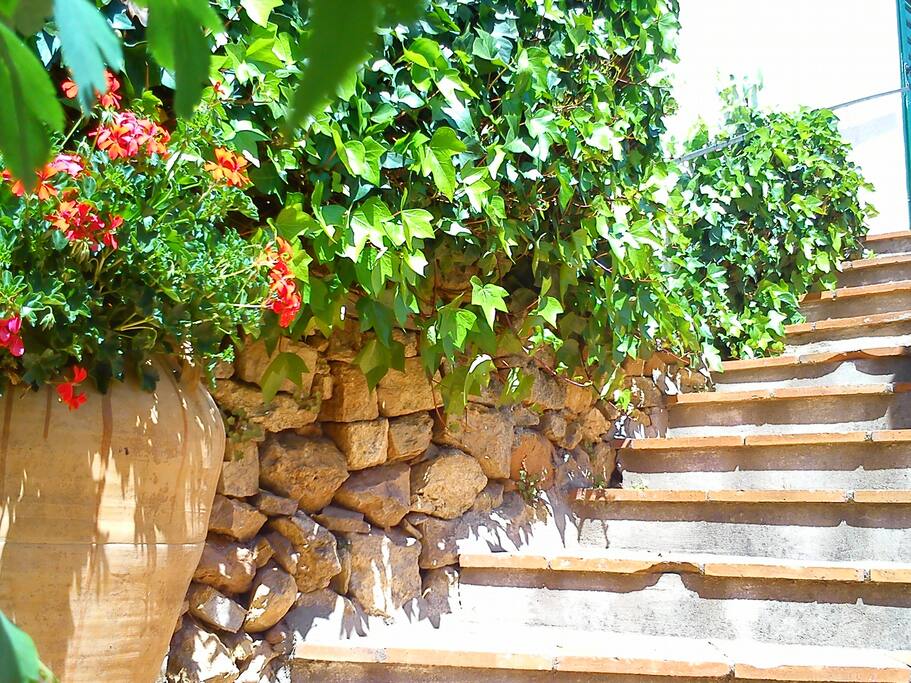 Escaleras entrada jardín