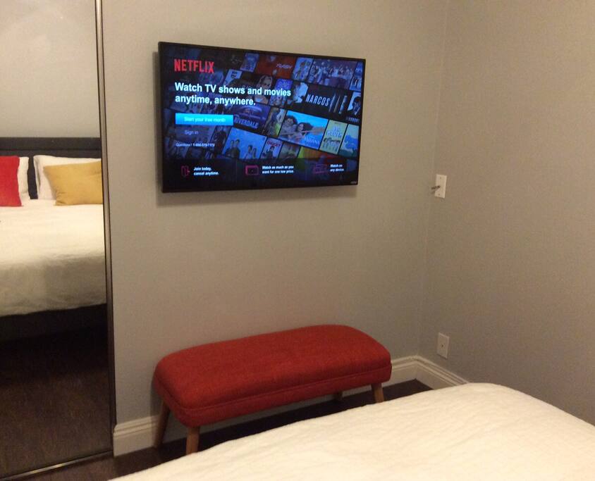 Smart TV with Roku access and Netflix subscription