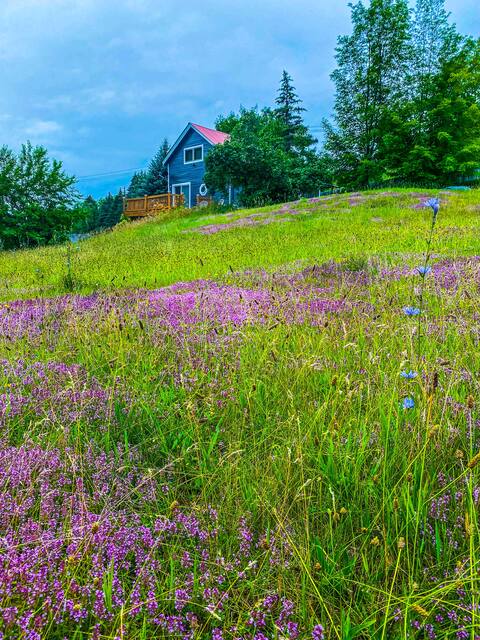 Adirondack Stargazer's Loft