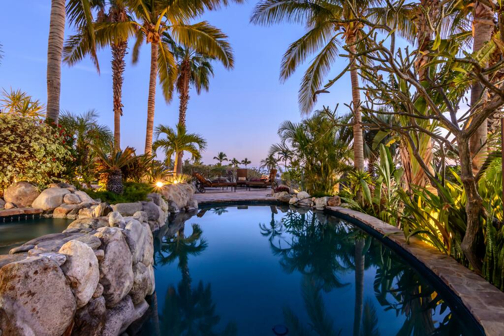 Beautiful backyard