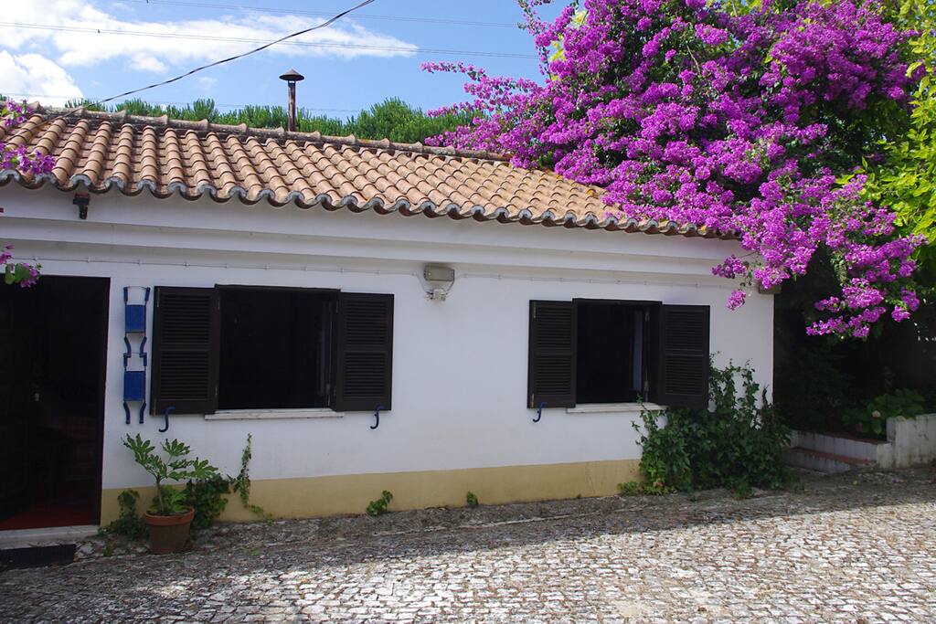 The lounge and bedroom windows