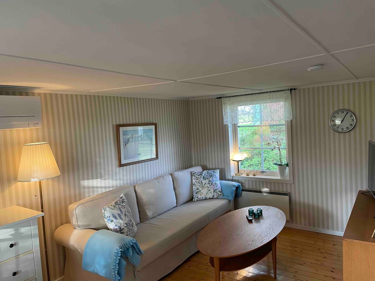 Голям и приятен телевизионен диван за дните, когато времето не се приканва. Диванът е разтегателен диван, който може да се превърне в легло 140.