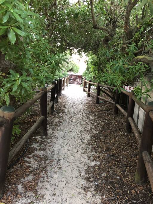 Path to Beach