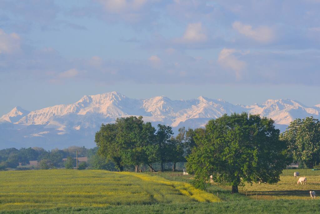 La vue depuis le jardin vers les Pyrenees