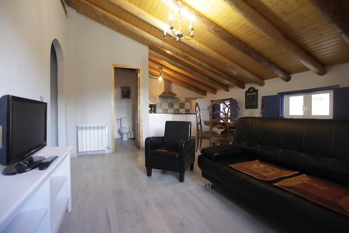 Apartamento Bicentenario Con Techo De Madera - Calatayud