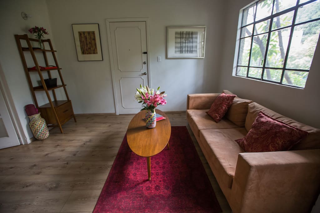 Living room opposite view