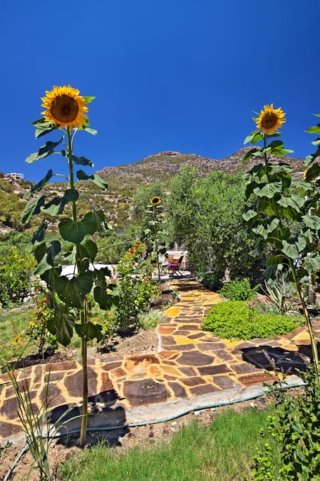 Shiny Happy Garden!