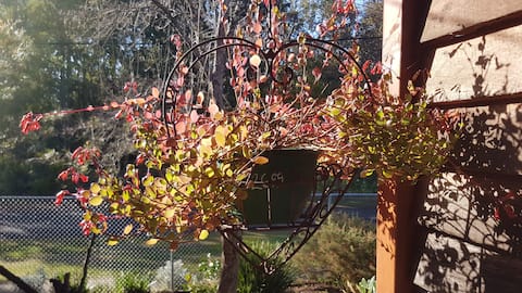 Magnolia Cottage. Spacious house PLUS Games Room.