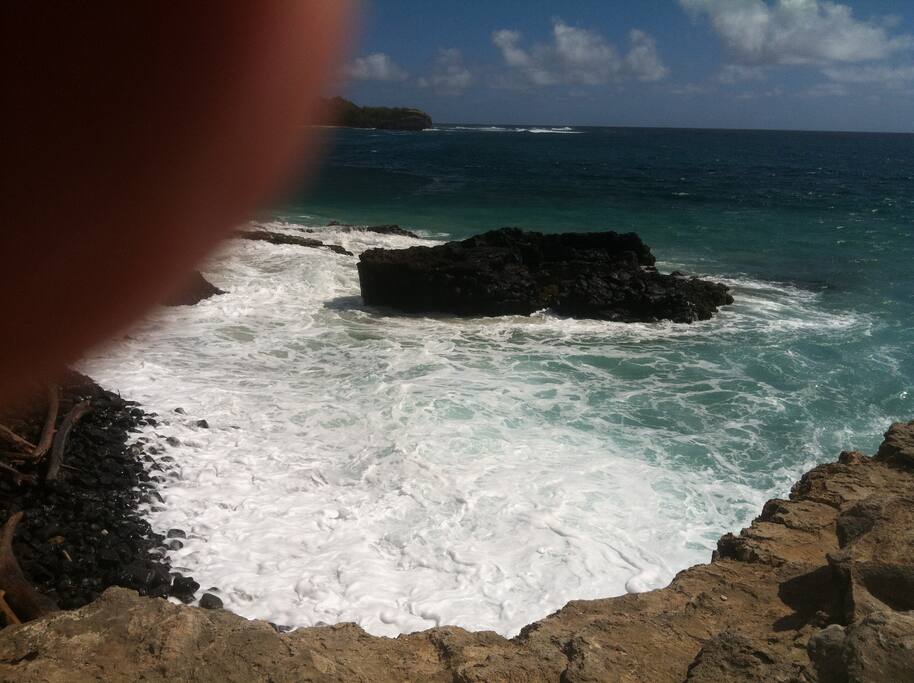 Watch for sea turtles