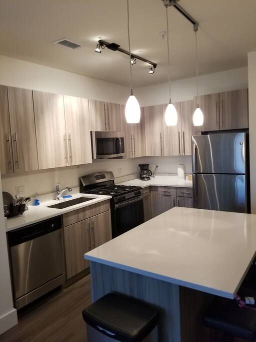 Modern Kitchen