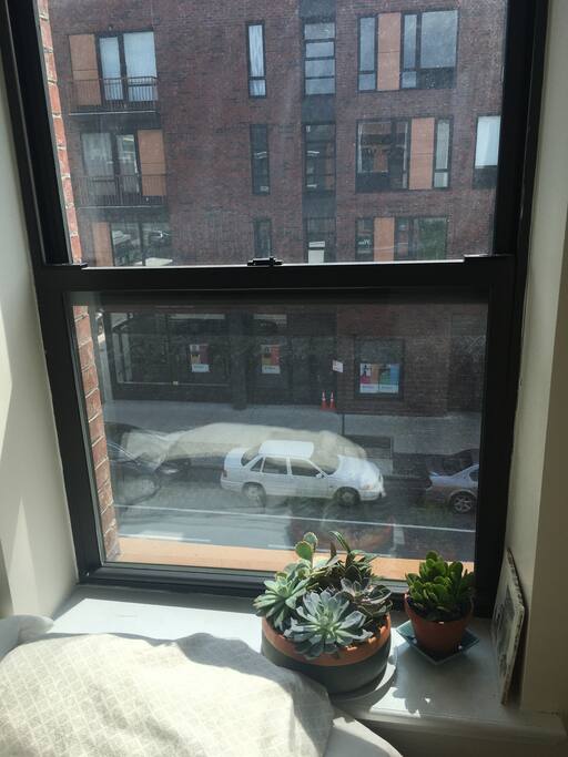 nice sunny window with with window shade