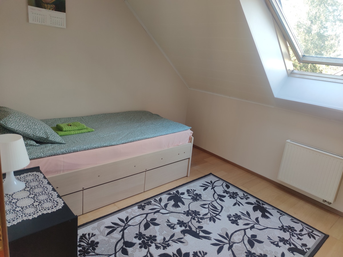 A cozy bedroom features a spacious bed with a soft green blanket and light pink bedding. Natural light streams through a large skylight, illuminating the room. A patterned rug rests on the wooden floor beside the bed, and a bedside lamp is positioned on a dark nightstand.