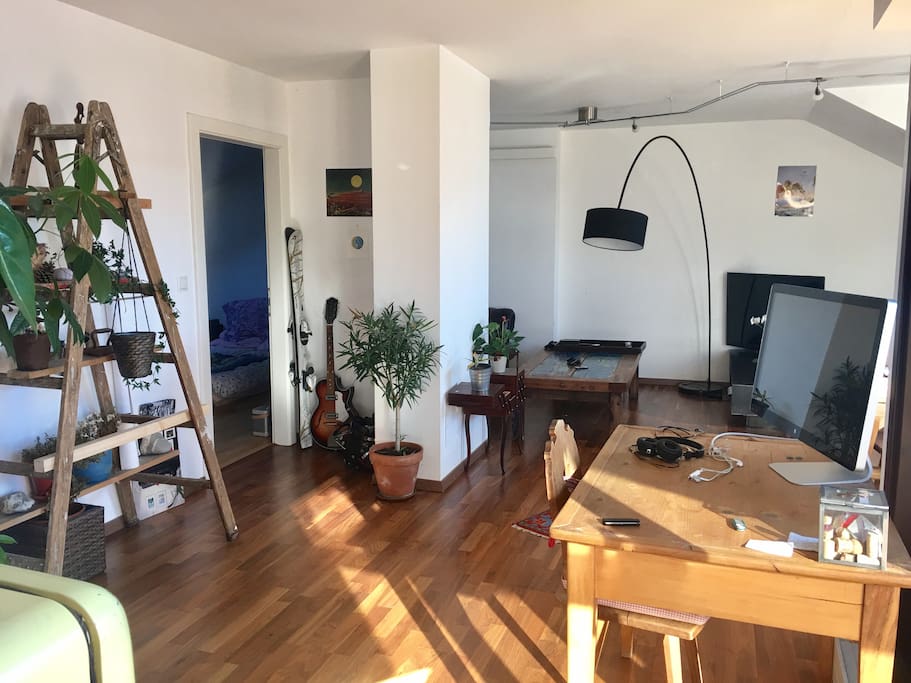 Livingroom and bedroom
