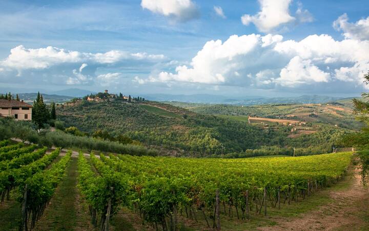FIRENZE IMPRUNETA IN COMPLETO RELAX