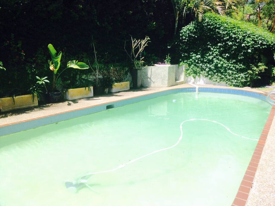 Large swimming pool maintained