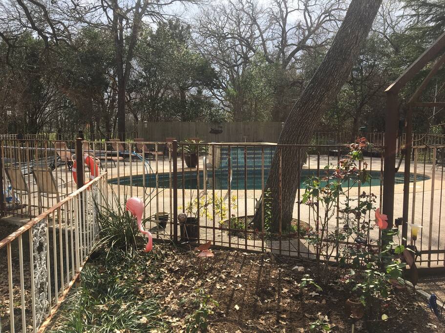 Back patio and pool area