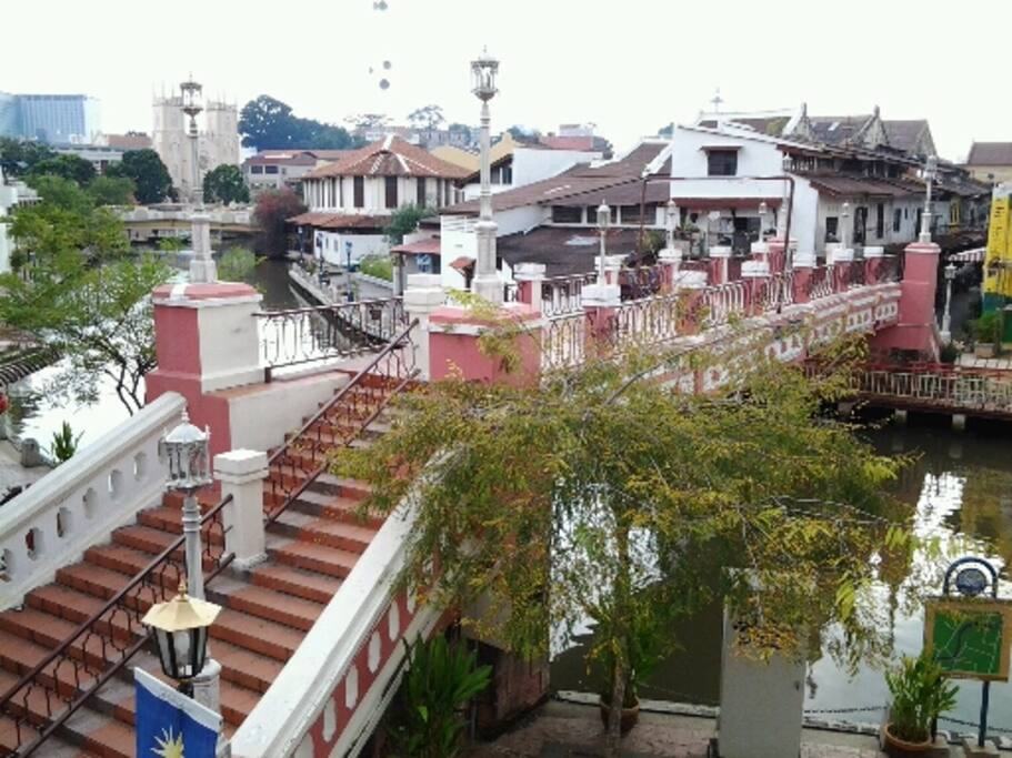 Present view from the window of the Little House by the River.
“The little bit you and me might change the world," Malloy smiled, "it wouldnt show up until a hundred years after we were dead. We'd never see it."
"But it'd be there.”
― James Jones, From Here to Eternity