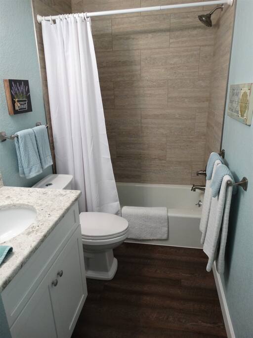 Private bath with tub shower