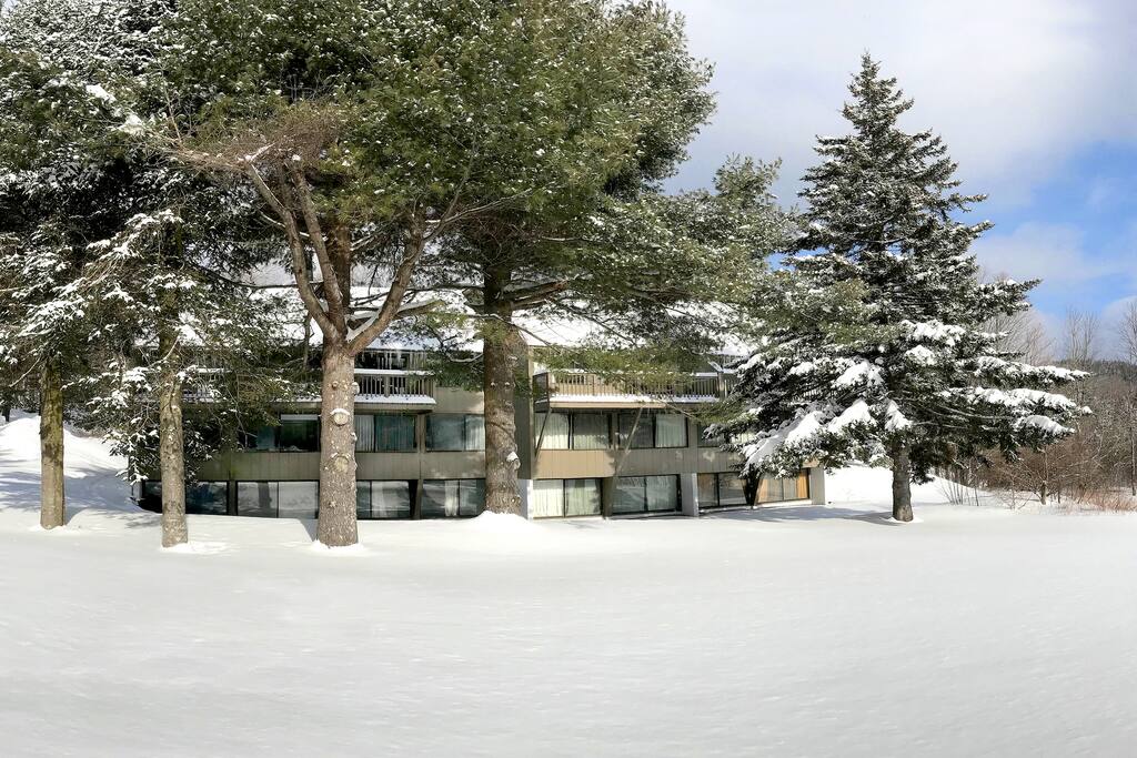 Field view of condo
