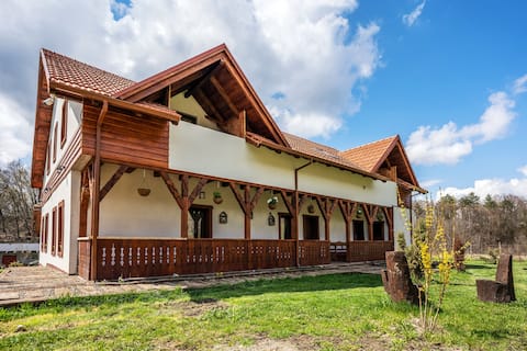 The privet HOUSE - connected with nature-
Sighisoara