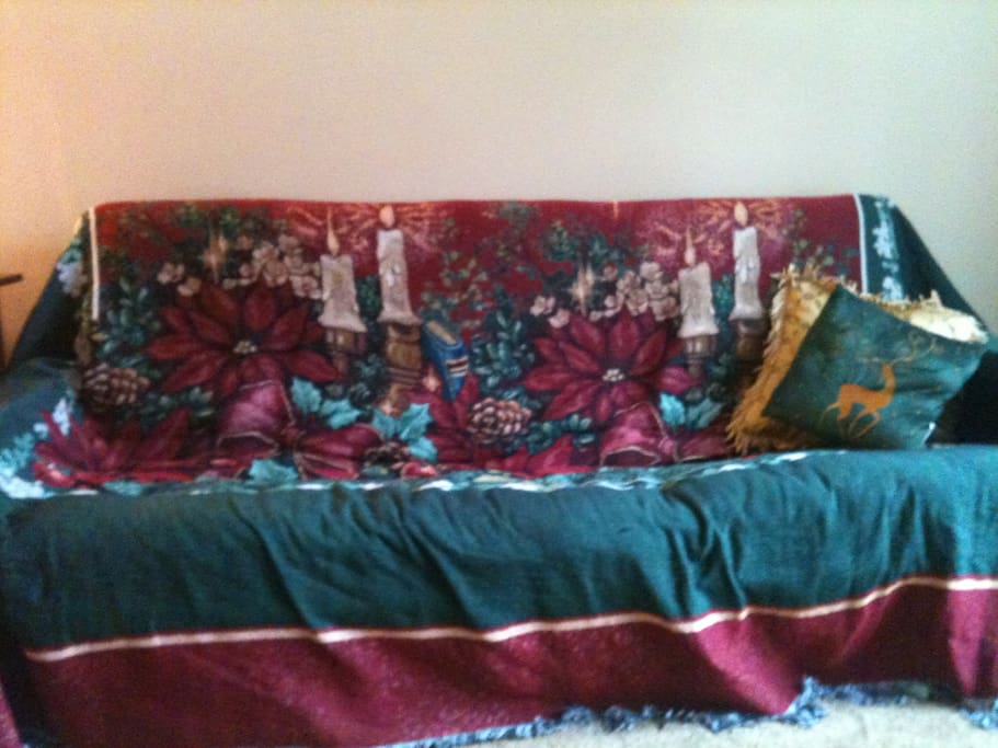 pics of living area/futon