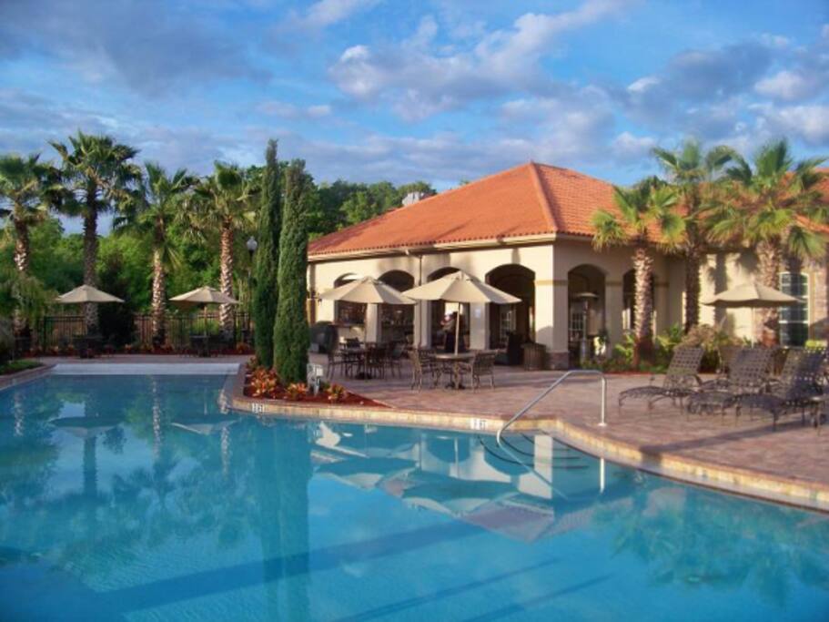 Pool,Water,Building,Palm Tree,Tree