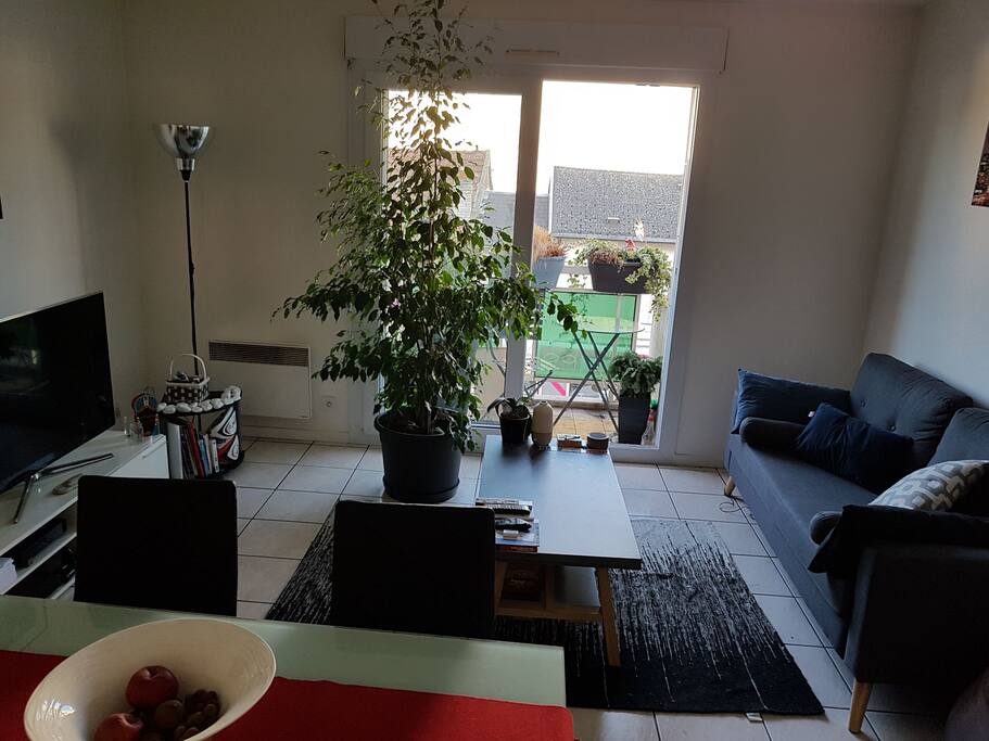 Séjour, table 6 places, canapé 3 places (possibilité de remettre le clic clac) téléviseur UE48H6400 Smart TV 3D 121 cm. Box Free. Balcon très fleuri avec petites table et chaises.