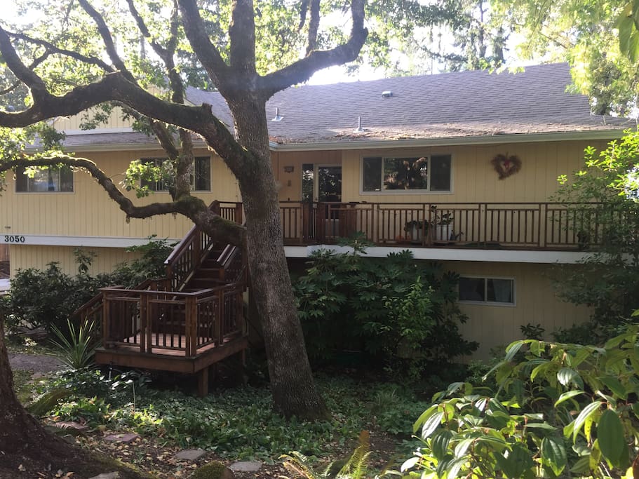 Set off the street, with an arboretum like front and back yard