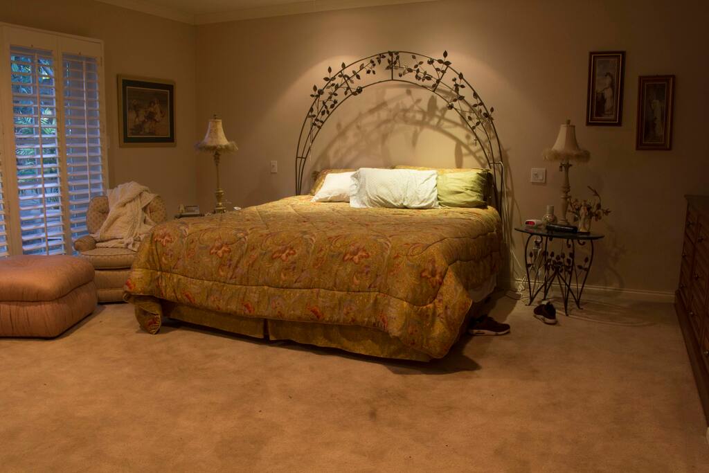 Master Bedroom with Adjoining Bathroom