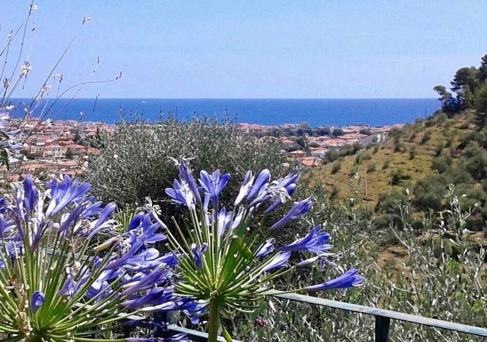 The vibrant blue flowers stand in the foreground, their blossoms contrasting against the serene blue of the ocean. A coastal view of terracotta-roofed houses is visible in the background, set against a clear sky, highlighting the natural beauty of the surrounding landscape.
