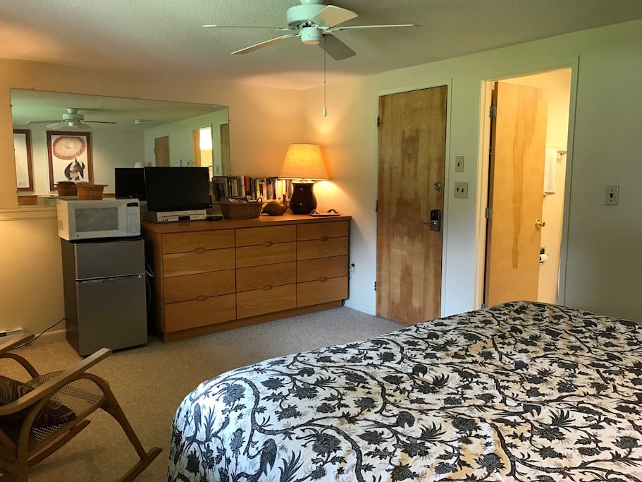 TV, mini-fridge, and microwave