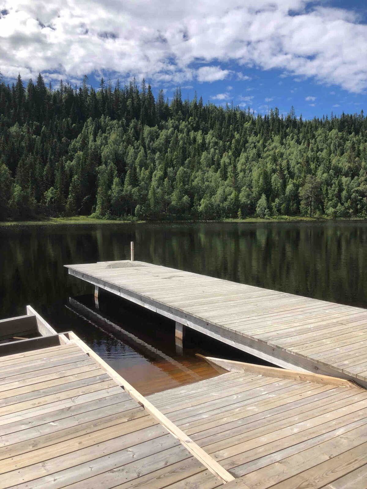 A wooden dock extends over calm waters, reflecting the lush green trees that line the shore. A gentle slope of forest can be seen in the background under a partly cloudy sky, creating a serene natural setting.