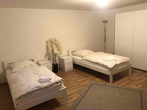 Cozy room  in basement with shower