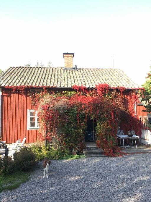 We are happy to show you to the front door if you can’t find it among the bushes.