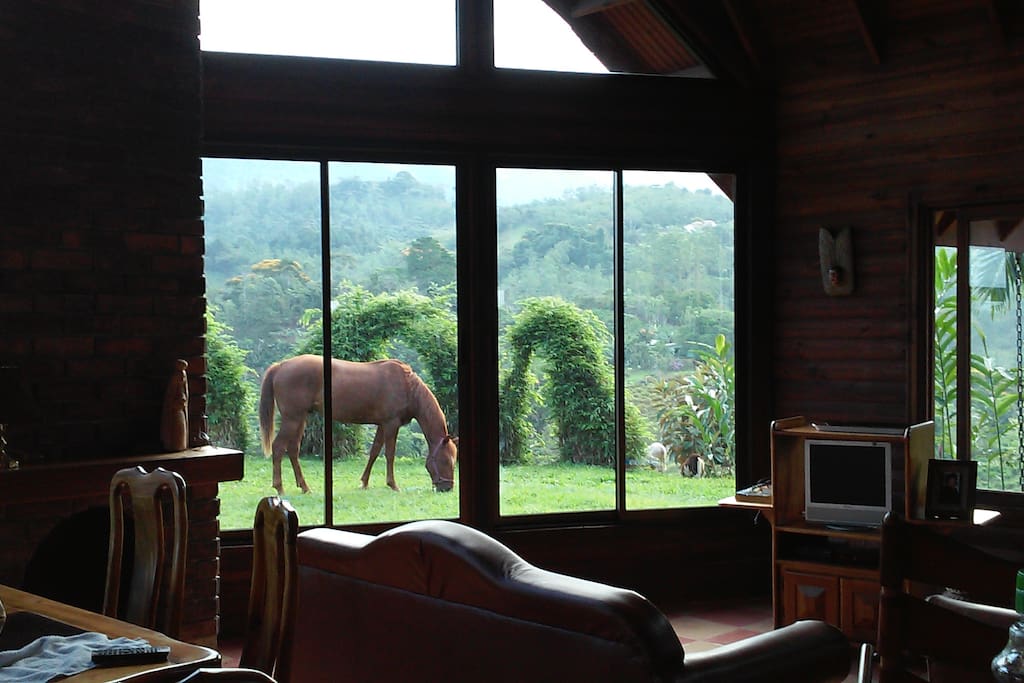 Living room.