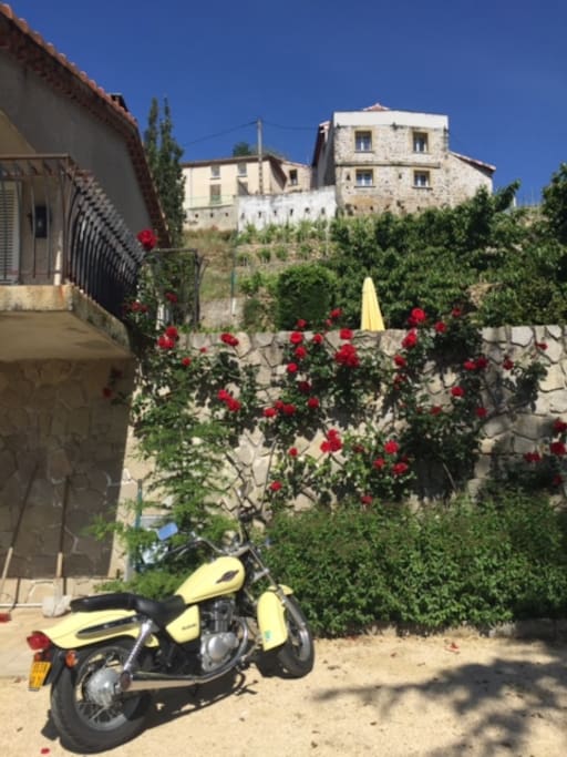 Les vignes surplombent la maison