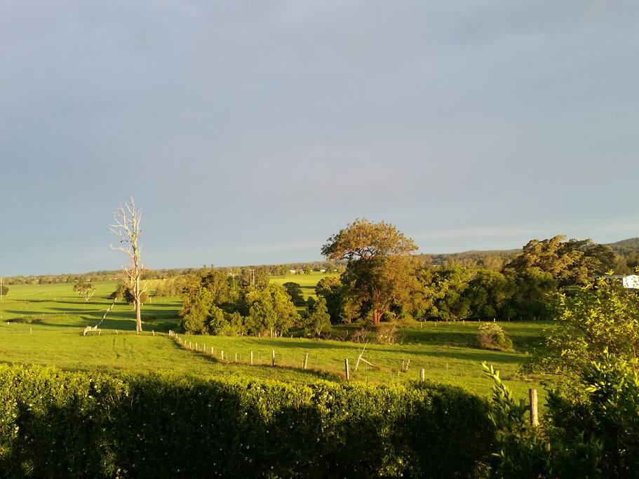 Late afternoon view from the deck.