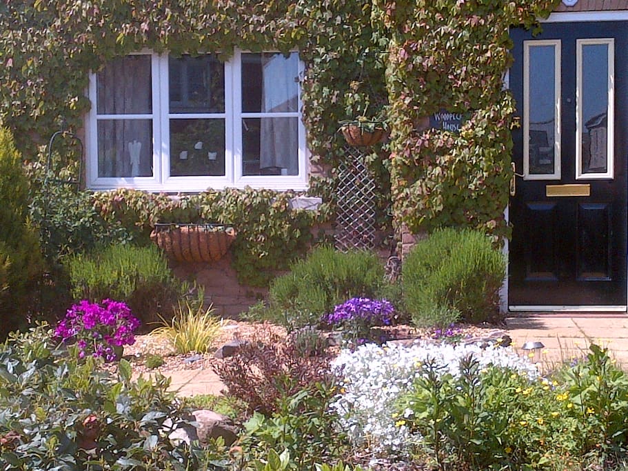 Cottage Garden