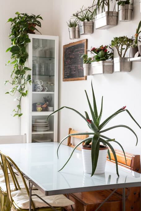 Kitchen open lounge