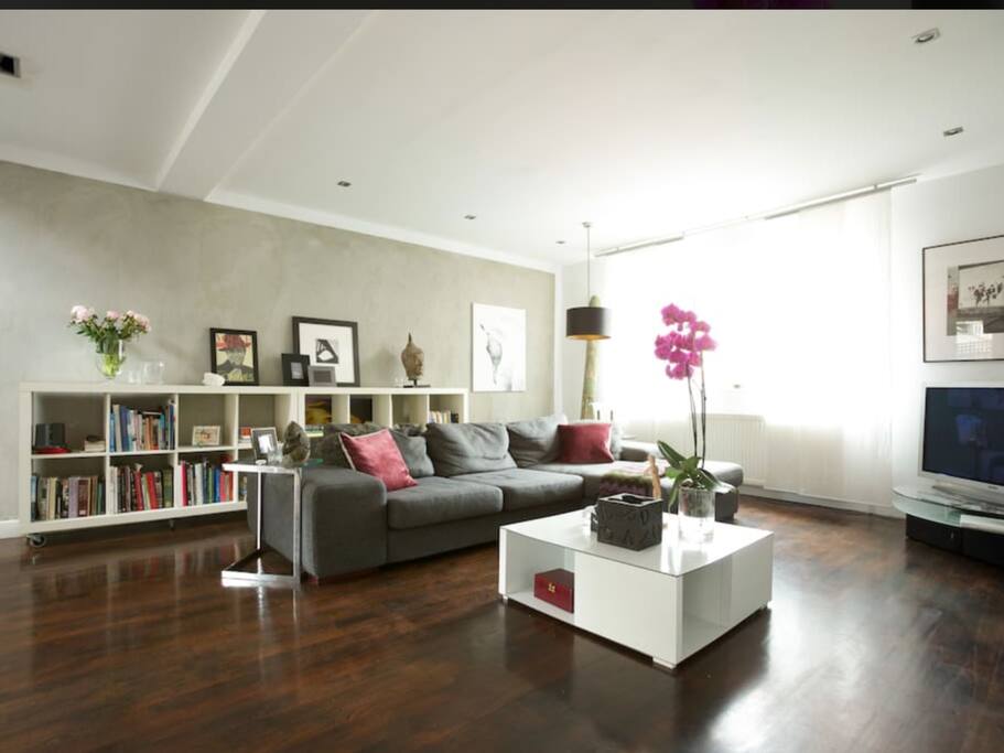 Spacious living room with library