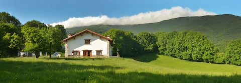 Casa Rural Borda Lenco, in the heart of nature.