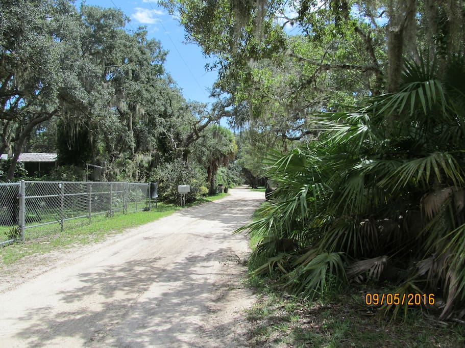 Quiet, tree lined street....