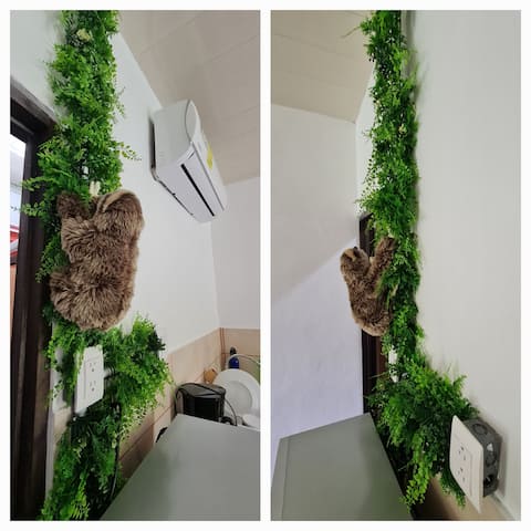 Sleep&Go! Cute Cabin & Rafting Tour Siquirres