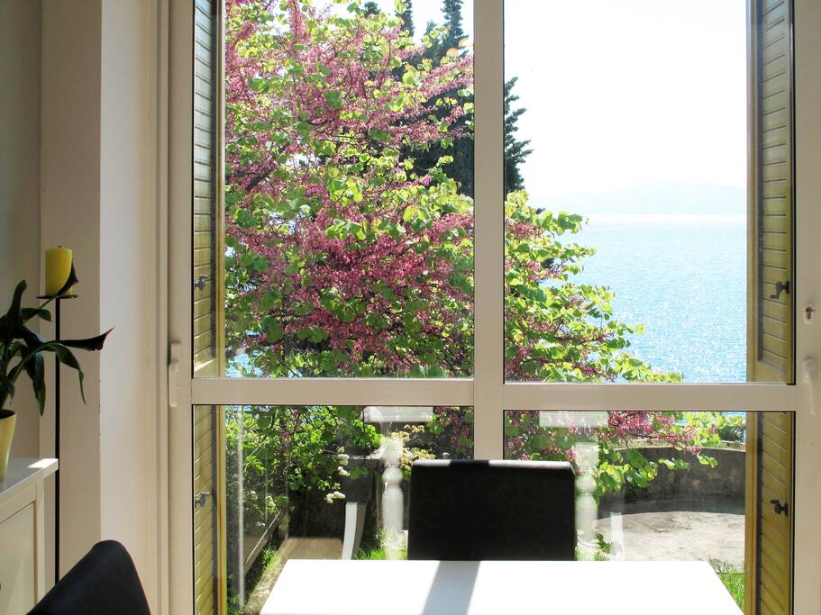View from the dinning room