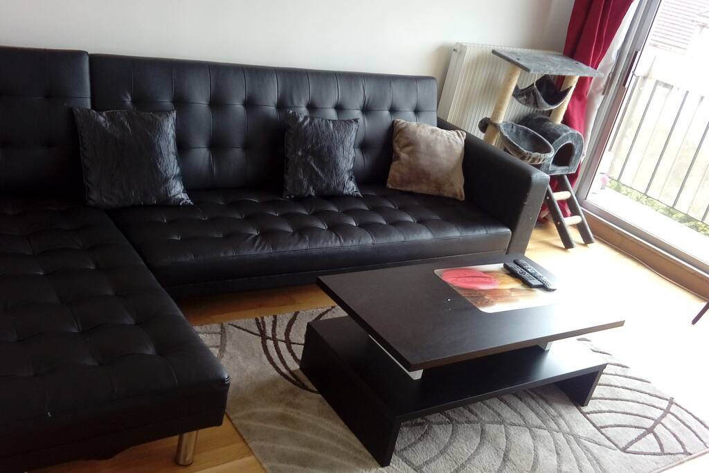 Salon sans la presence de mon chat qui est actuellement avec moi